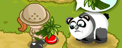 Baby Zoo Panda flash game preview