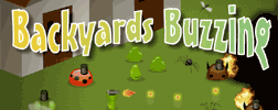 Backyard Buzzing flash game preview