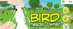 bird needs owner